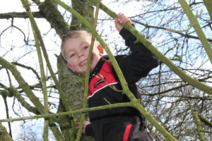 Tree Climbing fun!